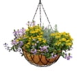 thumbnail image 1 of Palm Naki 12" / 25cm Metal Hanging Basket with Butterfly Design and Coco Coir Liner- Set of 4 - Hanging Planters, Decorative Plant Hanger, Indoor or Outdoor Hanging Planter for Flowers and Plants, 1 of 8