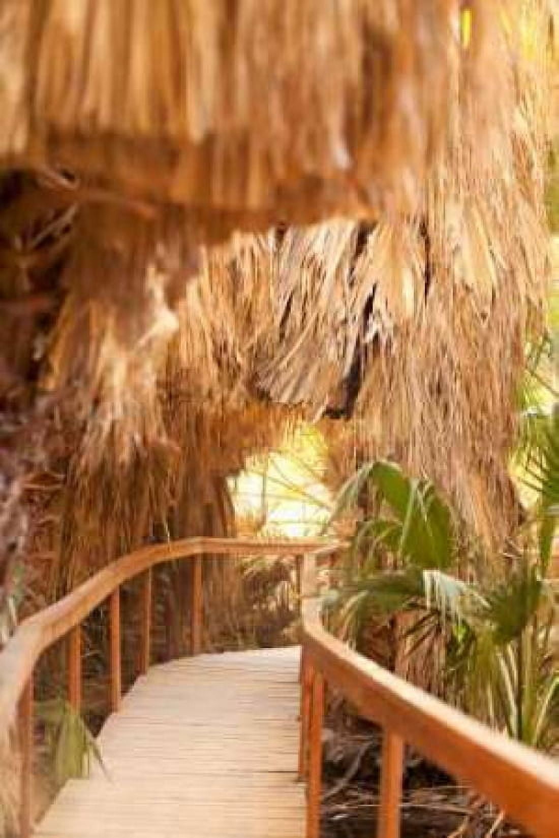 Palm Pathway I Canvas Art - Karyn Millet (12 x 18)