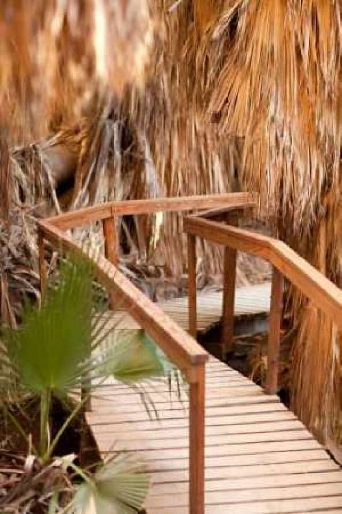Palm Pathway II Canvas Art - Karyn Millet (24 x 36)