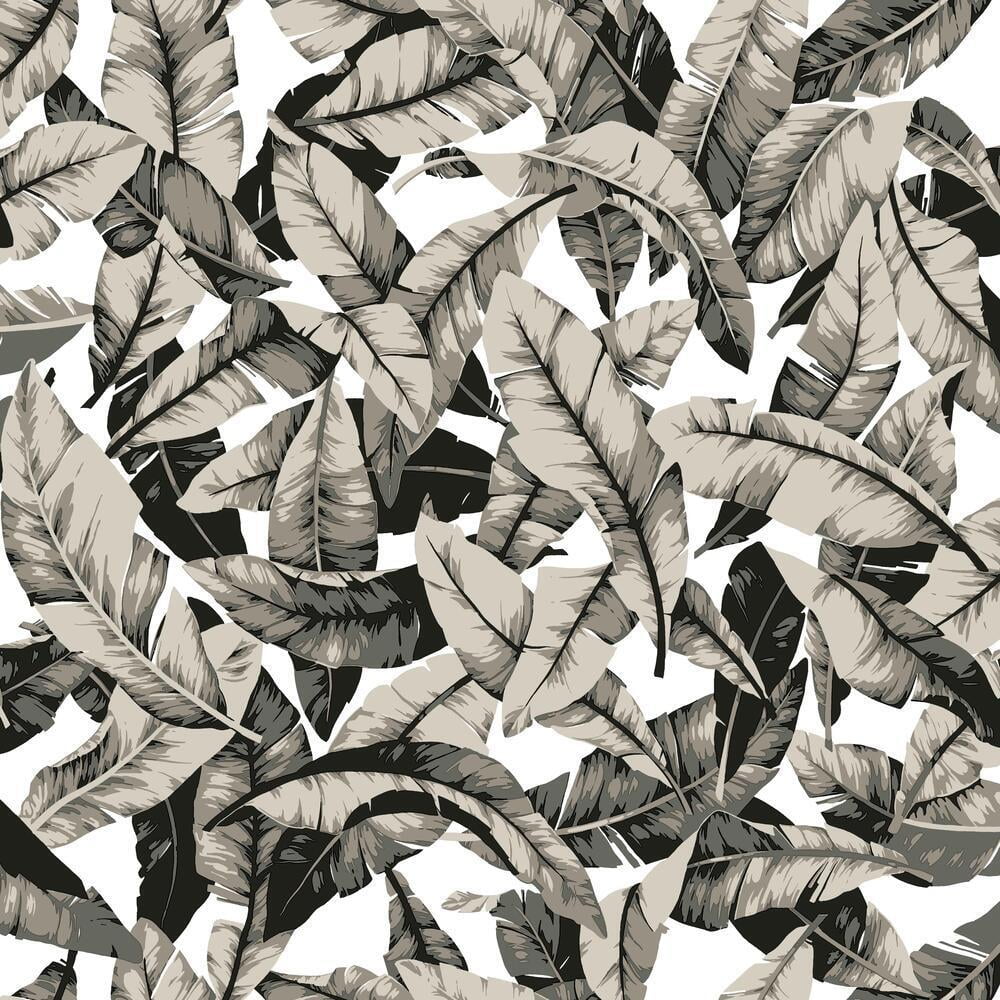 Palm Peel and Stick Wallpaper