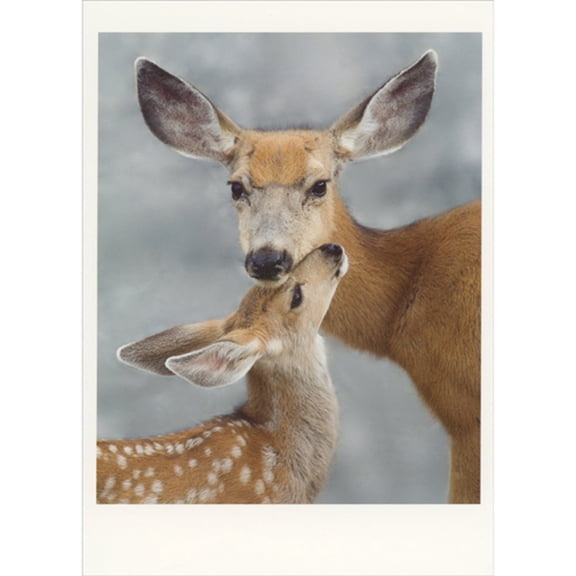 Palm Press Brown Doe Nuzzling with Brown and White Spotted Fawn Wildlife Christmas Card (1 card/1 envelope)