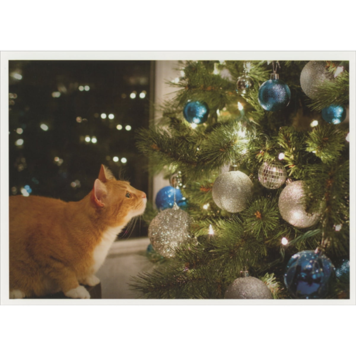 Palm Press Cat Staring at Shiny Blue and Silver Ornaments on Decorated Tree Box of 10 Christmas Cards