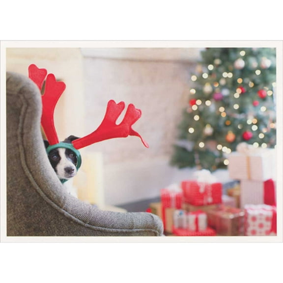 Palm Press Dog with Red Antlers Peeking Around Side of Gray Chair Box of 10 Christmas Cards