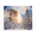 thumbnail image 1 of Palm Press El Capitan: Yosemite National Park : Snow Covered Trees Box of 10 Christmas Cards, 1 of 2