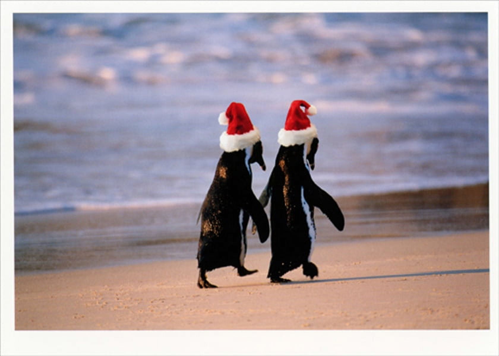 Adorable Emperor Penguin & Baby Snuggling – Wildlife Christmas Card