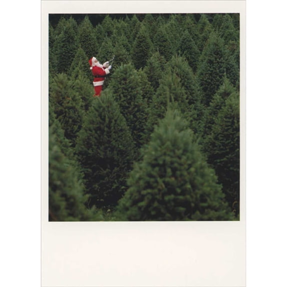 Palm Press Santa Trimming the Top of an Evergreen Tree in Forest Box of 10 Christmas Cards