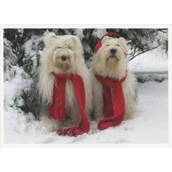 Palm Press Two White Dogs Wearing Long Red Scarves in Snow Happy Holidays Card