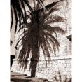 thumbnail image 1 of Palm Shadow, Antibes Poster Print by Cyril Blue (24 x 30), 1 of 2
