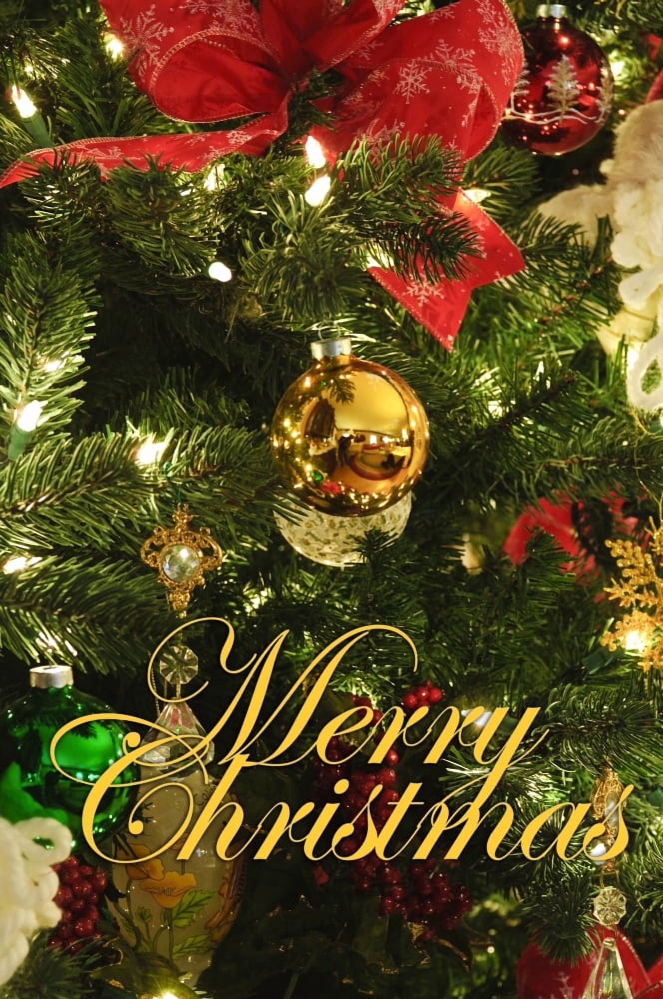 Palm Springs California Christmas decorations Canvas Art - Michael DeFreitas Danita Delimont (22 x 34)