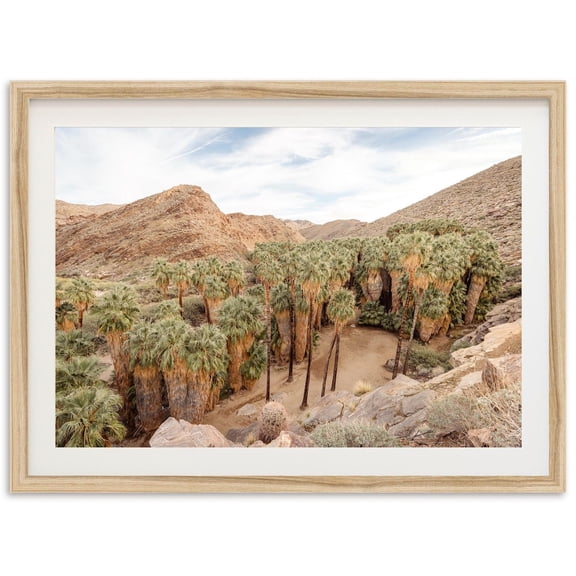 Palm Springs Desert Oasis Wall Art Home Decor