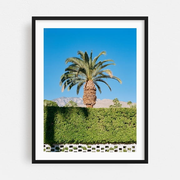 Palm Springs Palm - Palm Springs California Photography Palm Tree Tropical Nature Minimalist Desert Landscape Mountain Black Framed Wall Art Print 5 x 7 inches