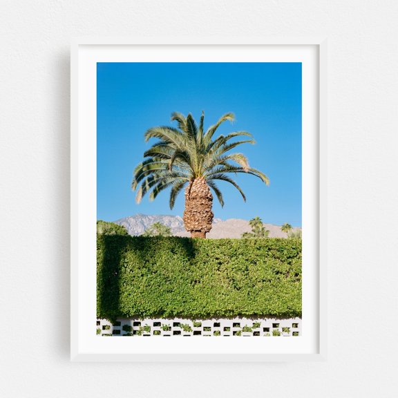 Palm Springs Palm - Palm Springs California Photography Palm Tree Tropical Nature Minimalist Desert Landscape Mountain White Framed Wall Art Print 5 x 7 inches