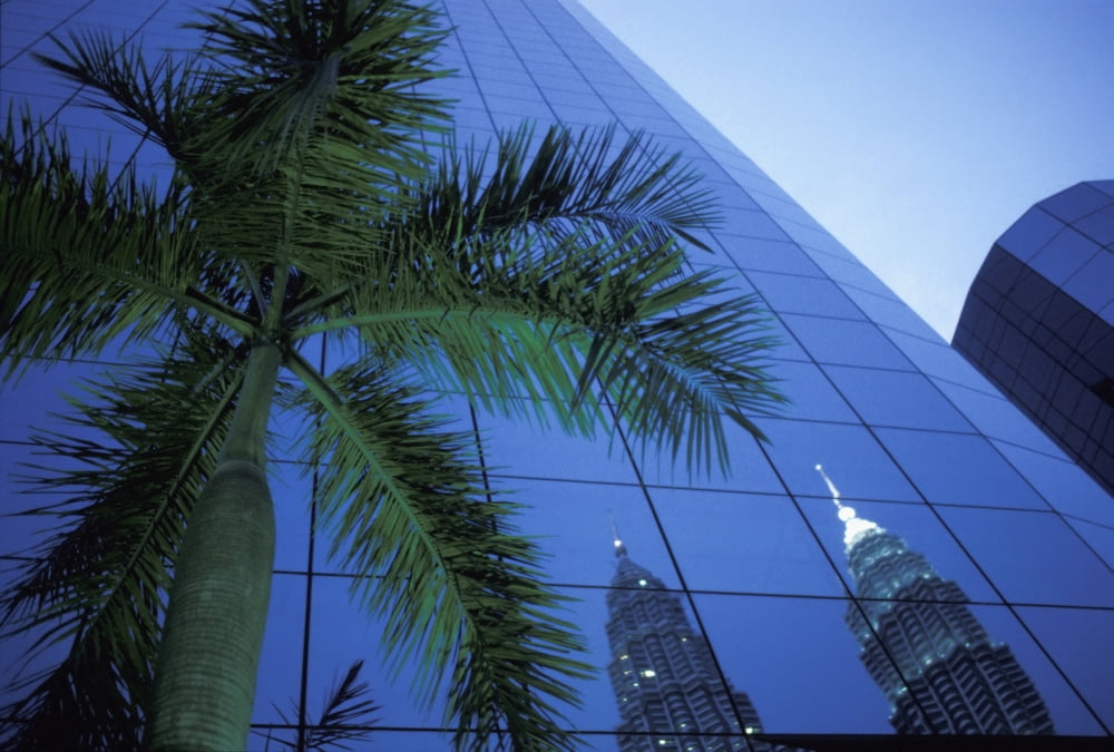 Palm Tree And Reflection Of Petronas Towers In Facade Canvas Art - Chris Martin Design Pics (18 x 12)