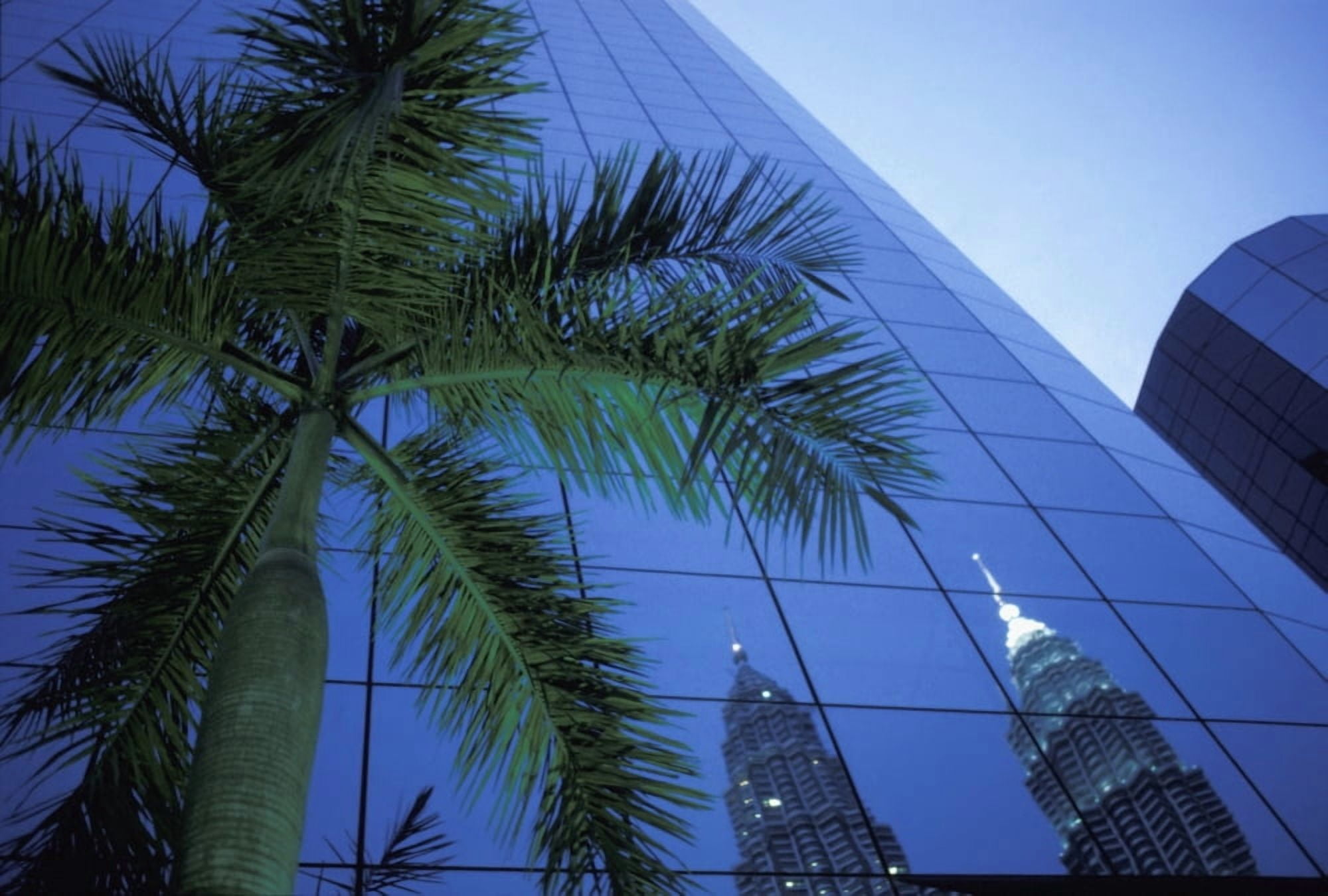 Palm Tree And Reflection Of Petronas Towers In Facade Canvas Art - Chris Martin  Design Pics (36 x 24)