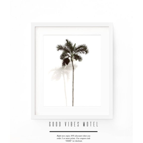 Palm Tree Art, Palm Poster, Tropical Poster, Palm Tree Photo, Tropical Poster, Palm Leaves Poster, Palm Tree Poster, California Poster, Stretched Canvas Size 16x24