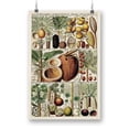 thumbnail image 1 of Palm Tree Chart Poster - Vision Studio Designs,, 1 of 3