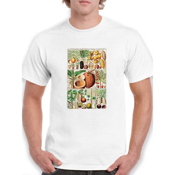 Palm Tree Chart. T-Shirt Men -Vision Studio Designs, Male 4X-Large