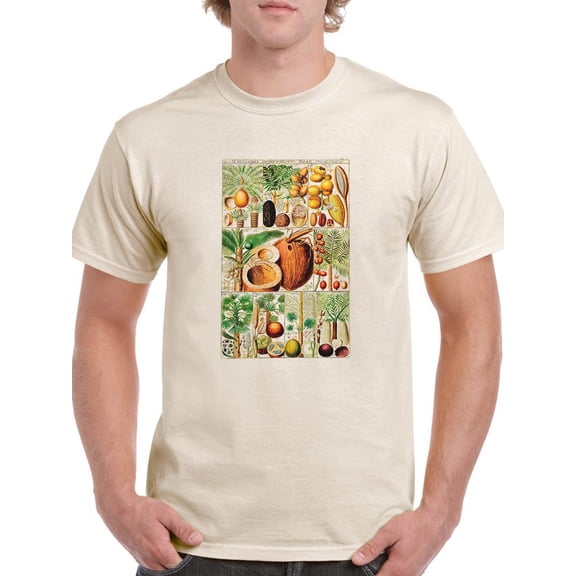 Palm Tree Chart. T-Shirt Men -Vision Studio Designs, Male 5X-Large