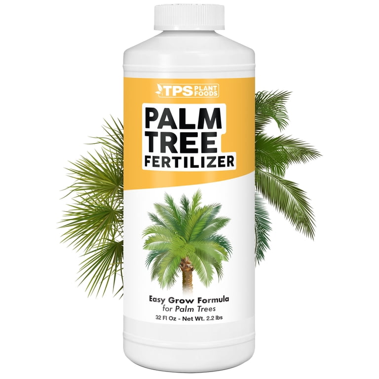 pots for hanging plants PLASTIC HANGING POT SET OF 3 (20X12CM) – Plantology Lab Trading main image 0