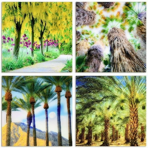 "Palm Tree Groves" Frameless Free Floating Reverse Printed Tempered Glass Nature Scapes Wall Art