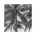 thumbnail image 1 of Palm Tree Head Scarf, Coconut Palms Tropical, Head Wrap, 3 Sizes, by Ambesonne, 1 of 2