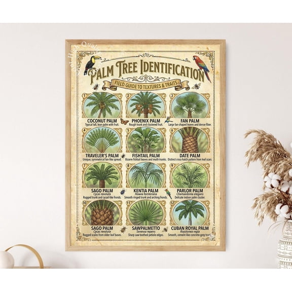 Palm Tree Identification Poster, Tropical Palm Species Guide Wall Art , Poster Print Only