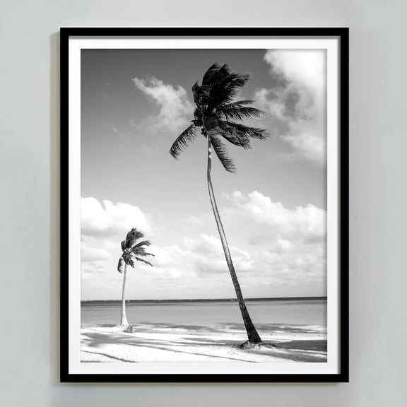 Palm Tree In Miami Beach Print Black And White Wall Art Summer Poster Beach Themed Decor Coastal Framhouse Prints