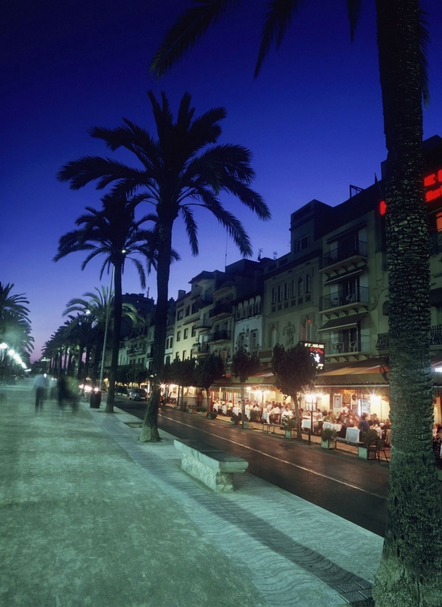 Palm Tree Lined Promenade With People Eating In Restaurants At Dusk Canvas Art - Ian Cumming Design Pics (13 x 18)