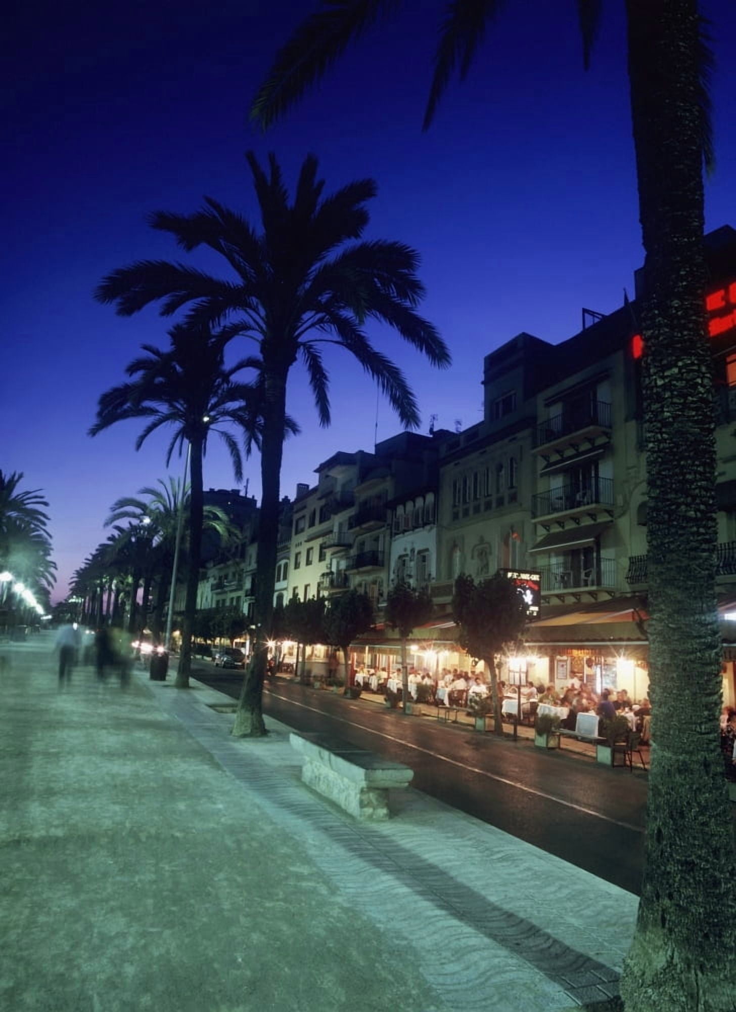 Palm Tree Lined Promenade With People Eating In Restaurants At Dusk Canvas Art - Ian Cumming Design Pics (26 x 36)