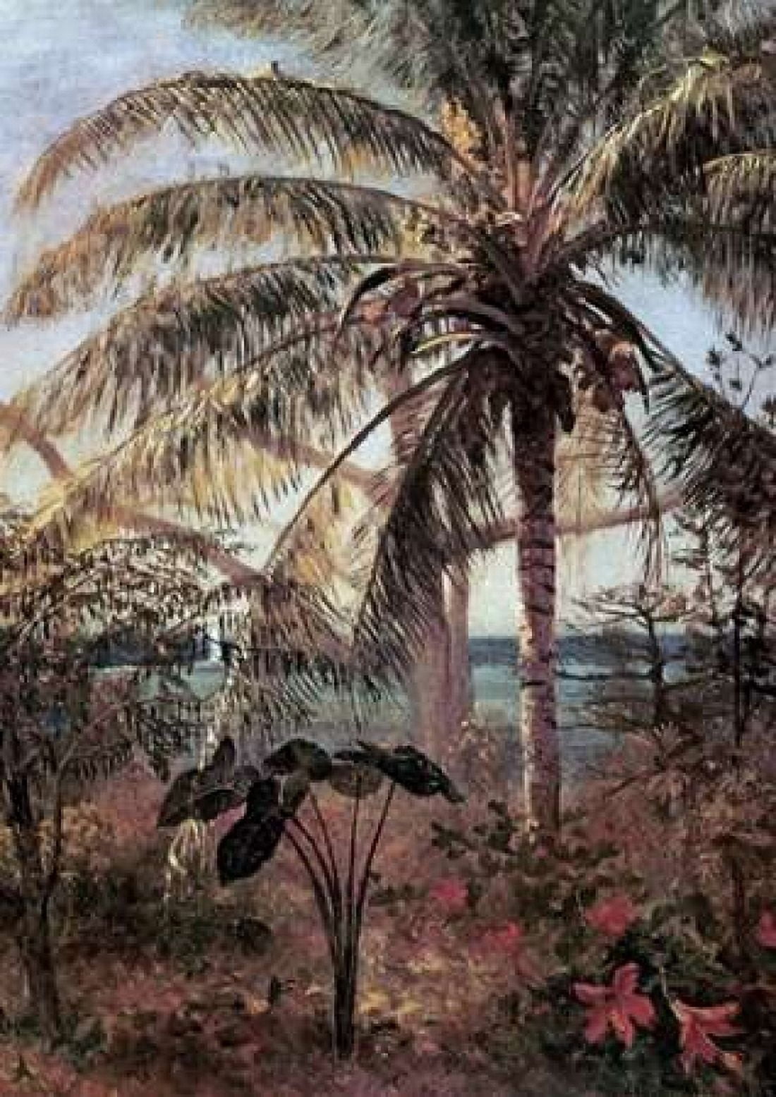 Palm Tree Nassau Canvas Art - Albert Bierstadt (20 x 28)