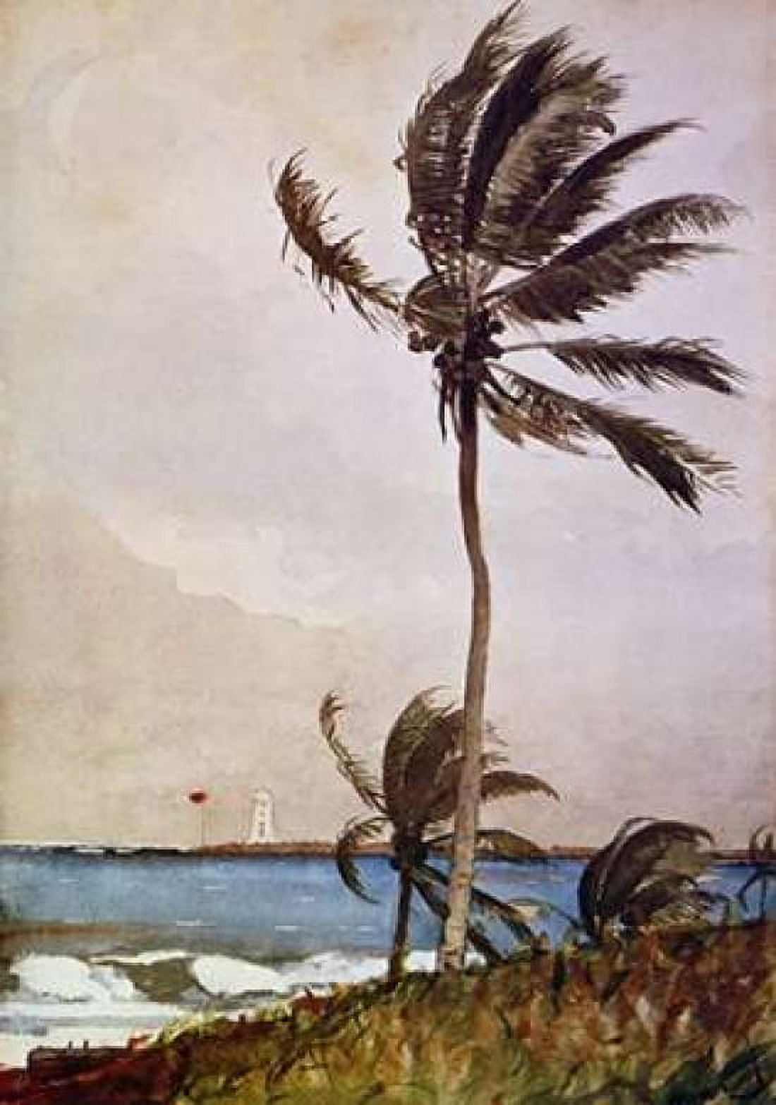 Palm Tree Nassau Canvas Art - Winslow Homer (20 x 28)