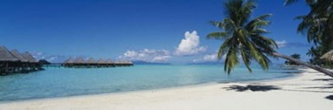 Palm Tree On The Beach Moana Beach Bora Bora Tahiti French Polynesia Canvas Art - Panoramic Images (18 x 6)