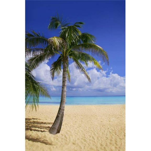 Palm Tree On Tropical Beach Poster Print