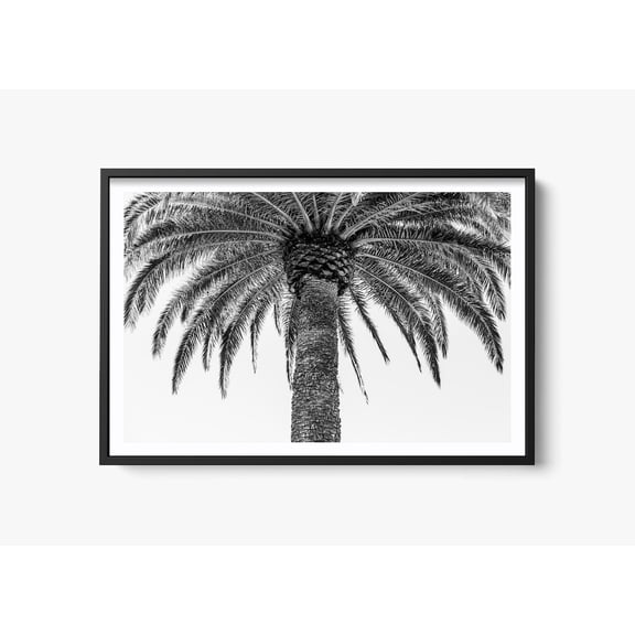 Palm Tree Photography Pacific Ocean Print Palm Tree Fine Art California Wall Decor Black And White Beach Home Print