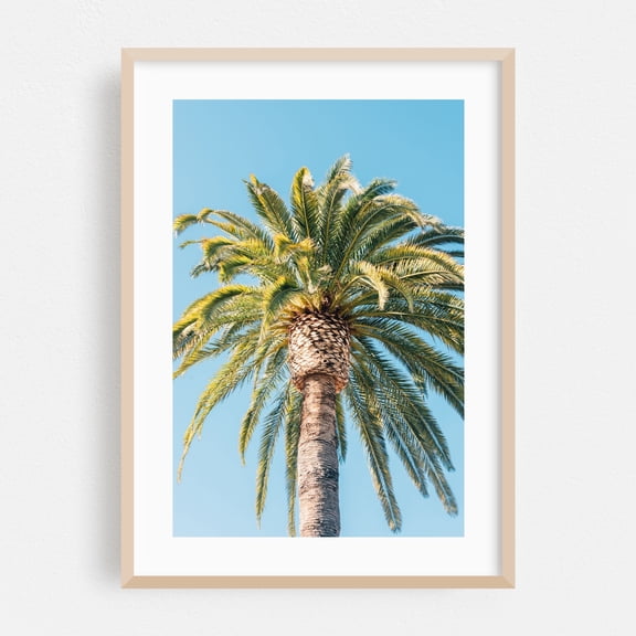 Palm Tree, Santa Barbara - Santa Barbara California Photography Palm Tree Tropical Nature Coastal Beach Summer Minimalist Oak Framed Wall Art Print 5 x 7 inches
