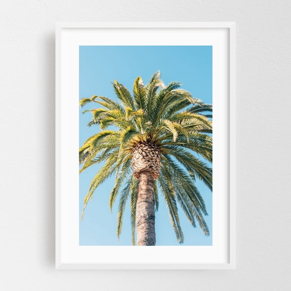 Palm Tree, Santa Barbara - Santa Barbara California Photography Palm Tree Tropical Nature Coastal Beach Summer Minimalist White Framed Wall Art Print 5 x 7 inches