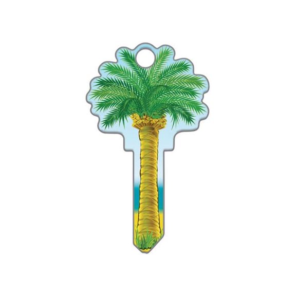 Palm Tree Schedule House Key