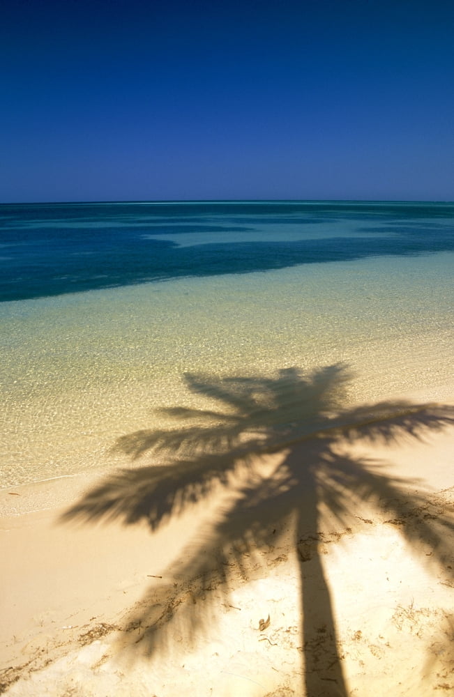 Palm Tree Shadow And Ocean Great Barrier Reef Northern Caye Belize Canvas Art - Ron Watts Design Pics (24 x 36)