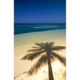 thumbnail image 1 of Palm Tree Shadow And Ocean  Great Barrier Reef  Northern Caye  Belize Poster Print, 1 of 2