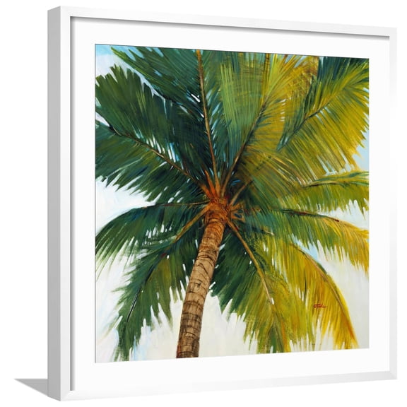 Art.com Palm Tree Sky Giclee Print by Tim O'toole, White Frame Wall Art, 29" x 29"
