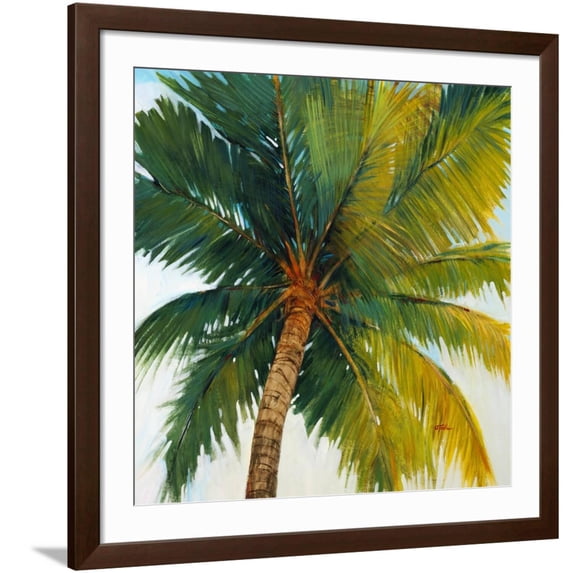 Art.com Palm Tree Sky Giclee Print by Tim O'toole, Brown Frame Wall Art, 38" x 38"