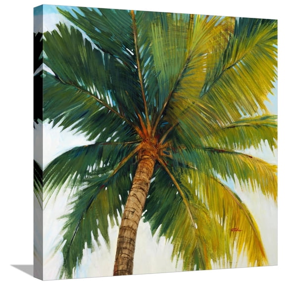 Art.com Palm Tree Sky Stretched Canvas Print Wall Art by Tim O'toole, 24" x 24"
