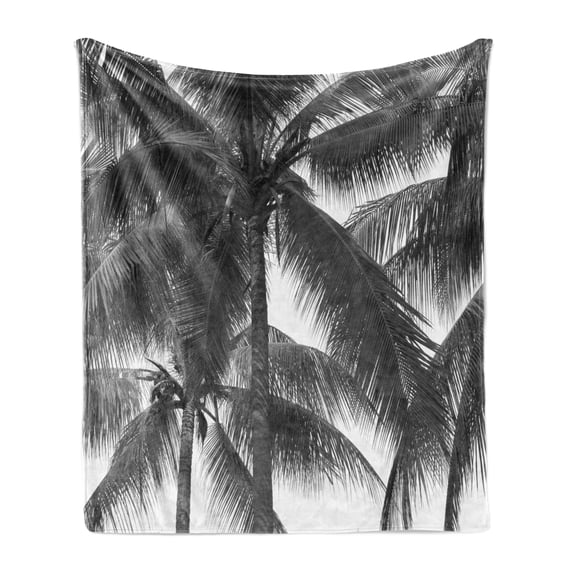 Palm Tree Soft Flannel Fleece Throw Blanket, Palm Tree Silhouette Exotic Plant on Dark Theme Foliages Relaxing in Nature Image, Cozy Plush for Indoor and Outdoor Use, 70" x 90", Black, by Ambesonne