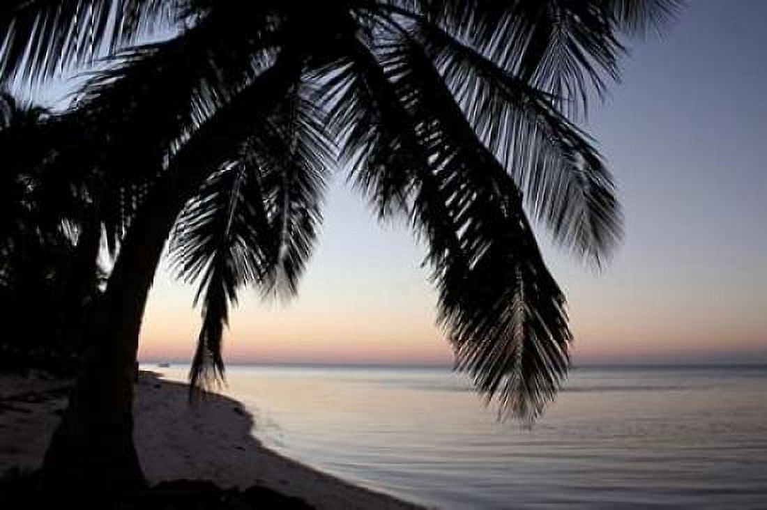 Palm Tree Sunset Canvas Art - Brent Anderson (24 x 36)