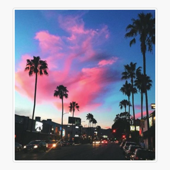 Palm Tree Sunset Sticker