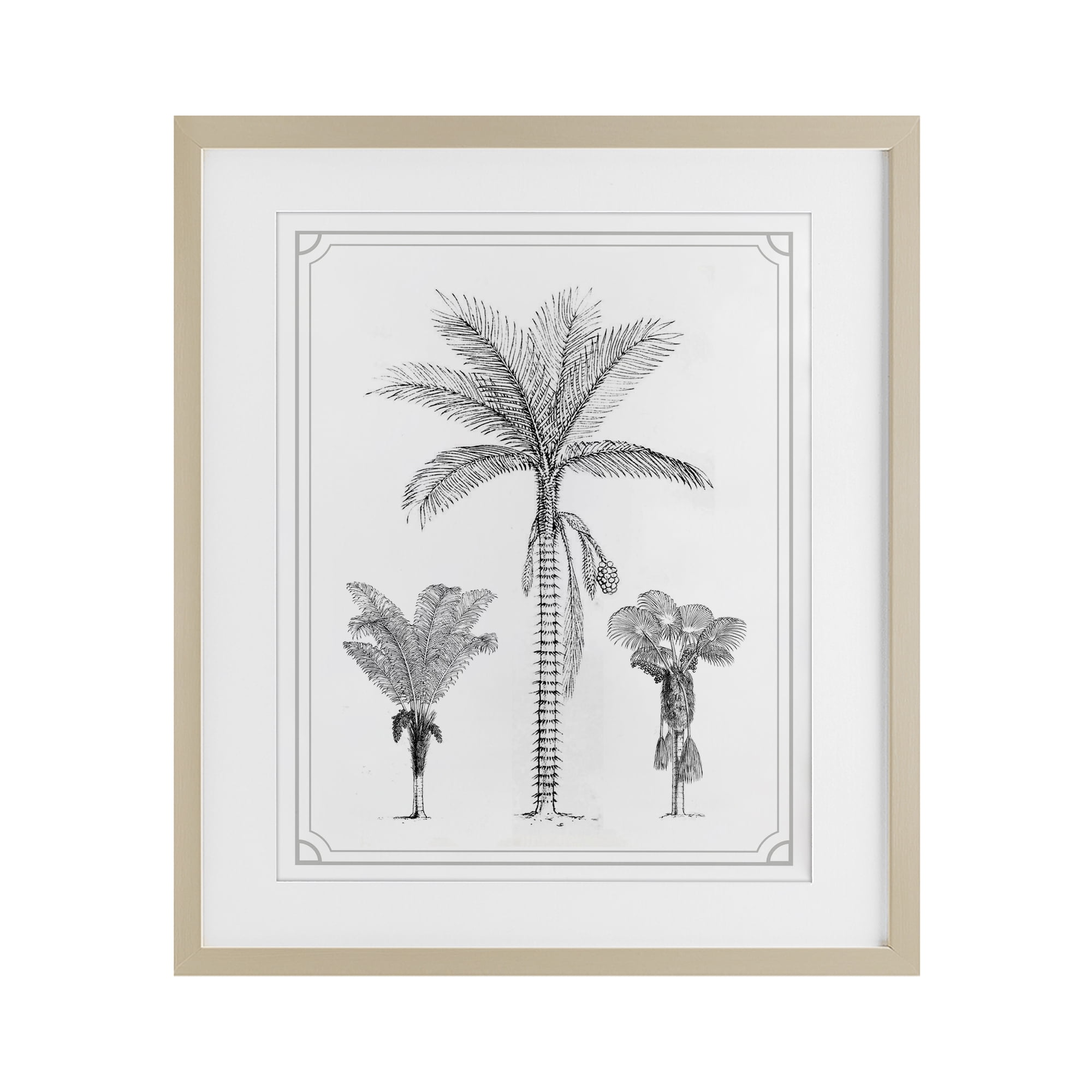Palm Tree Trio Sketches Birch Framed Print Under Glass, design by Lettered and Lined