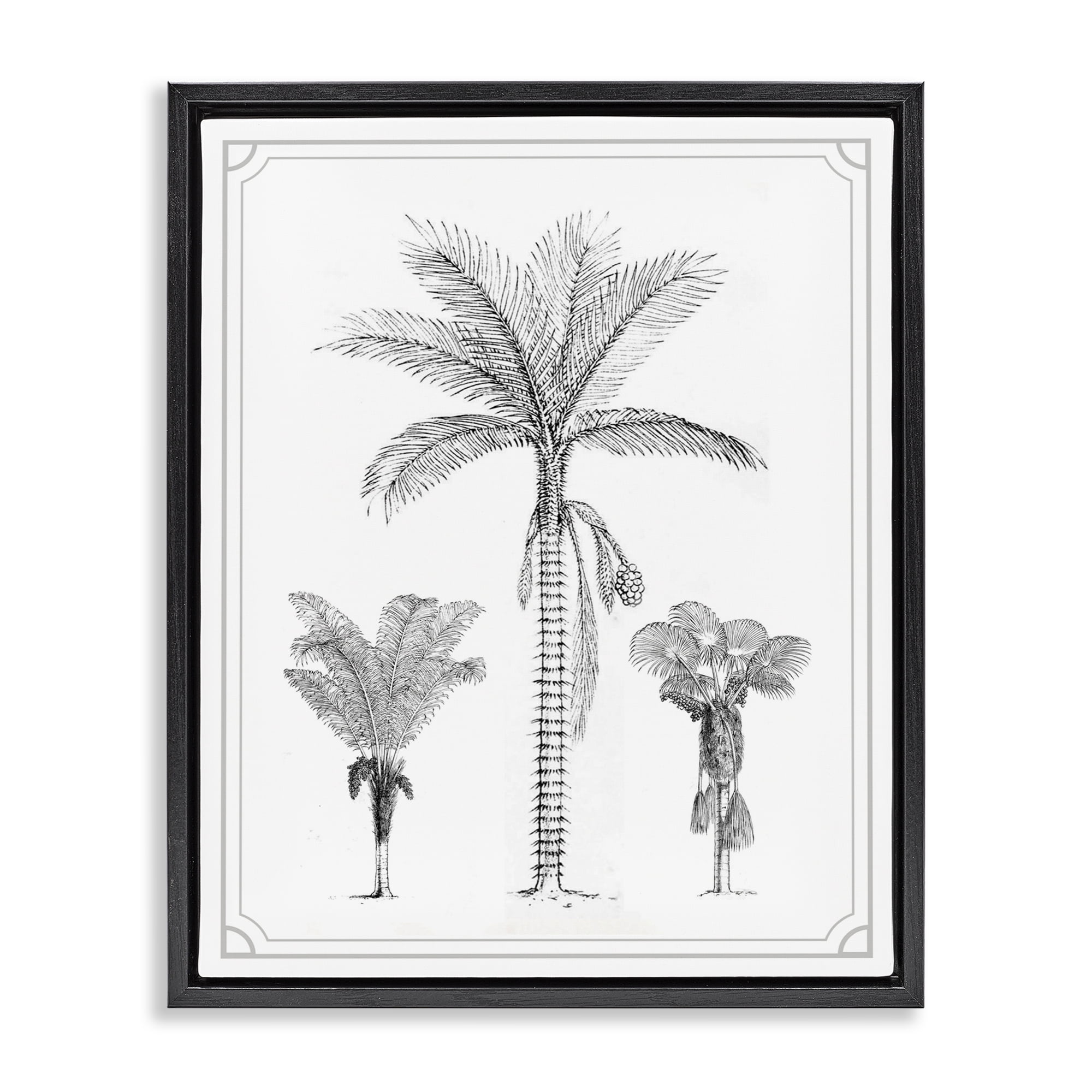 Palm Tree Trio Sketches Black Framed Floater Canvas Wall Art, design by Lettered and Lined