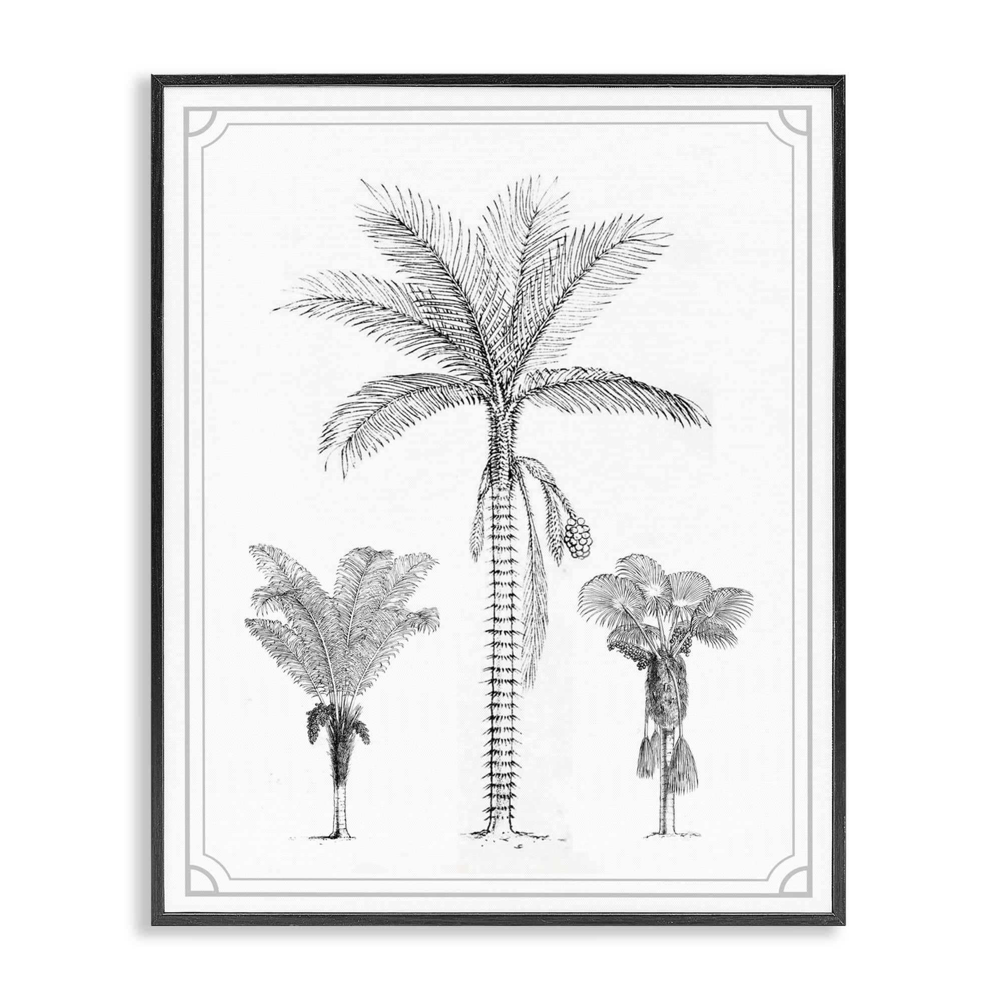 Palm Tree Trio Sketches Black Framed Giclee Art, design by Lettered and Lined