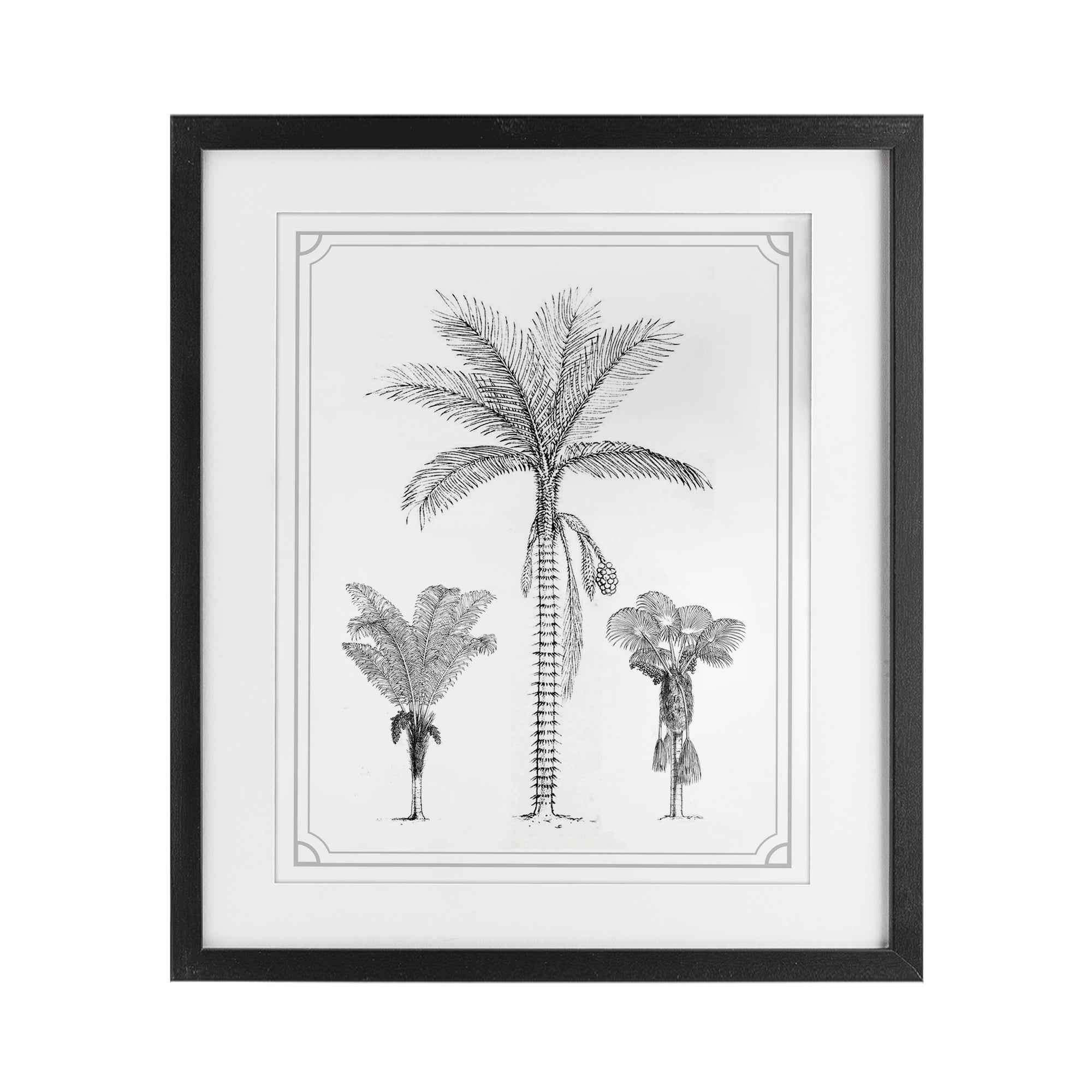 Palm Tree Trio Sketches Black Framed Print Under Glass, design by Lettered and Lined