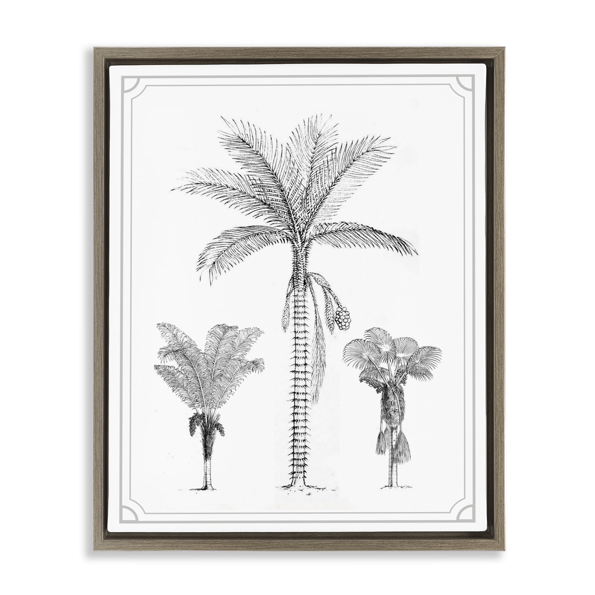 Palm Tree Trio Sketches Brown Framed Floater Canvas Wall Art, design by Lettered and Lined